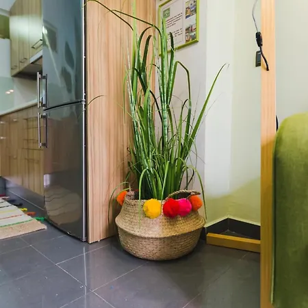 Apartamentos Malaga Center Apartment Malaga